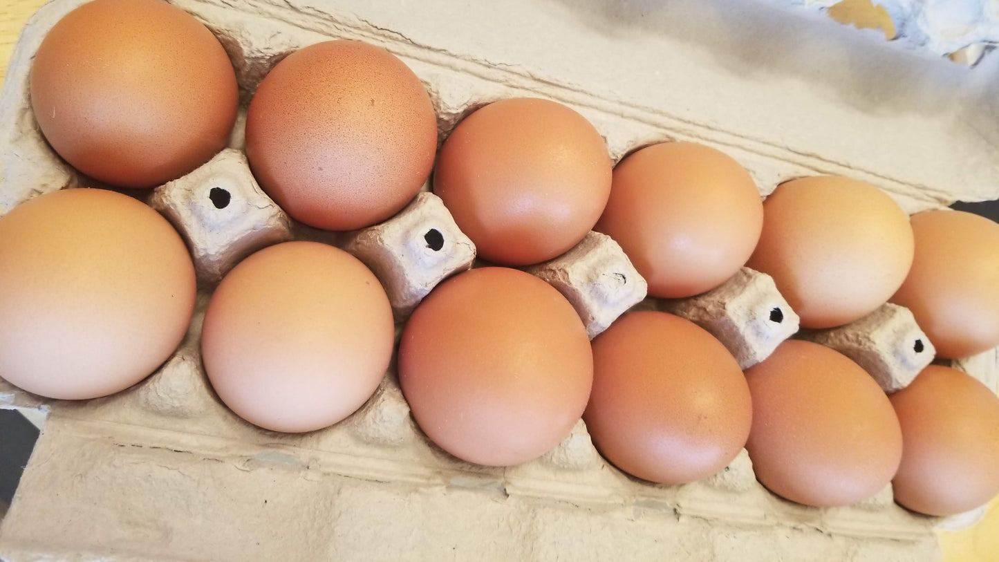 Chicken Eggs (1dz)